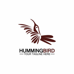 Hummingbird logo design vector template