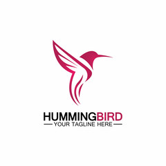 Hummingbird logo design vector template