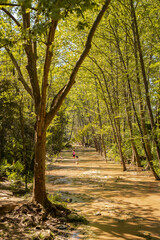 Woman and dog on a river