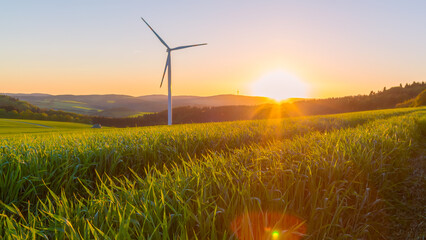 green field with wind turbine in the background at sunset