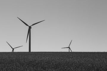wind turbine in the field