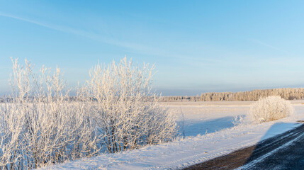 Winter road, agriculture field with snow in the countryside. Hoarfrost forest on a horizon. Winter landscape.
