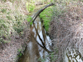 Pequeño río