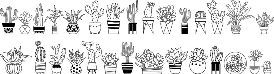 Cacti and succulents. Home plants hand drawn vector.