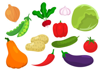Set of vegetables