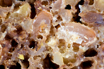 Sliced Protein bread, Whole grain bread, Rye bread with sunflower seeds. macro photography countryside bread closeup