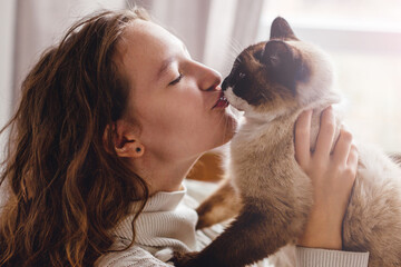 Cute cat on owners's hands at home