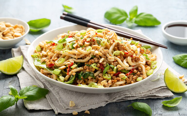 Pork, peanut udon noodles with pak choi, mangetout and red chili. Asian food