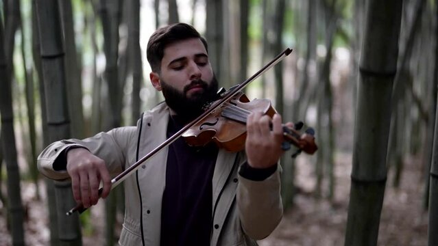romantic musician is playing violin in bamboo grove, fiddler in nature