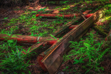 【埼玉県】廃神社の倒れた鳥居