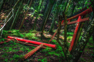 【埼玉県】廃神社の倒れた鳥居