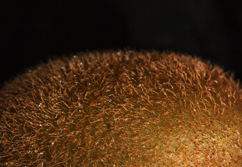 Brown hairy kiwi skin. Macro or closeup photo of a piece of kiwi on a black background. Detail photo of hairy skin.