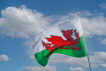Welsh flag   St Davids day  wales 