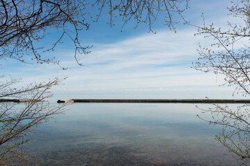 view of the lake with tree branches and breakwater