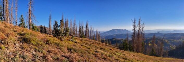 Views from hiking trail of Mount Nebo Wilderness Peak 11,933 feet, fall leaves panoramic, highest in the Wasatch Range of Utah, Uinta National Forest, United States. USA.
