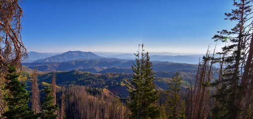 Views from hiking trail of Mount Nebo Wilderness Peak 11,933 feet, fall leaves panoramic, highest in the Wasatch Range of Utah, Uinta National Forest, United States. USA.
