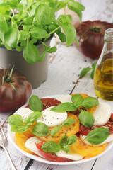 A plate with Italian salad caprese	