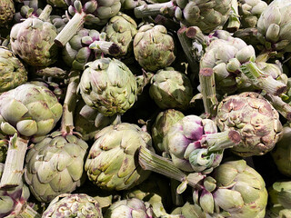 Organic raw artichokes in the grocery store. Horizontal artichokes background. Vegetarian healthy food