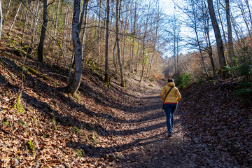 Fototapeta premium Mühlheim a.d. Donau 