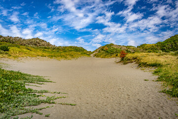 【千葉県】館山砂丘