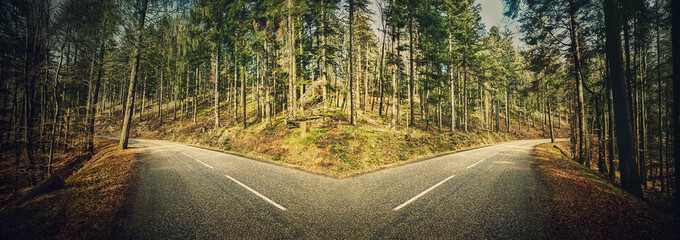 Asphalt road through the forest splits in two different directions, left and right courses....