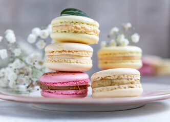 Macaron or macaroon with gypsophila flowers on grey concrete background. Pastel colors french dessert with flowers.