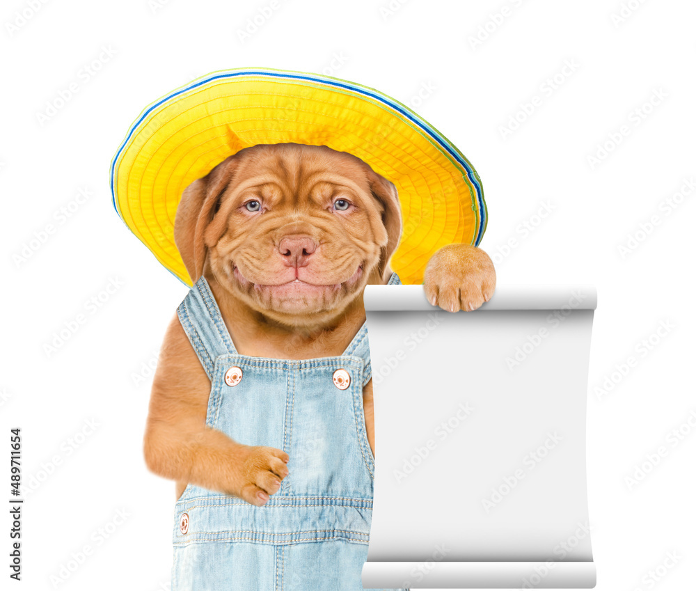 Poster Puppy wearing  hat and overalls shows empty list. Isolated on white background