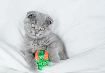 Surprised playful kitten holds gift box under white blanket. Top down view