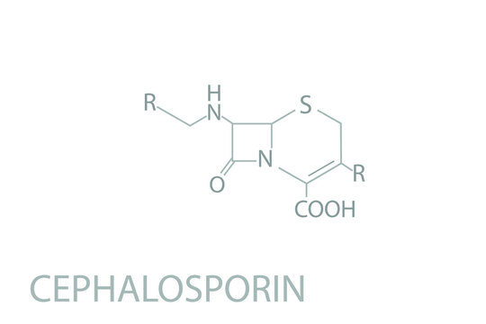 Cephalosporin molecular skeletal chemical formula.	