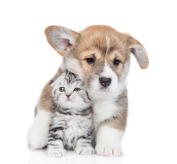 Obraz premium Cute Pembroke welsh corgi puppy embraces tiny kitten. isolated on white background