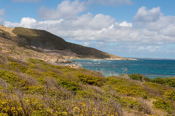 Ilet Pinel, R&eacute;serve naturelle de Saint Martin, Ile de Saint Martin, Petites Antilles