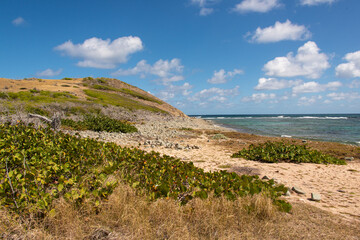 Ilet Pinel, Réserve naturelle de Saint Martin, Ile de Saint Martin, Petites Antilles