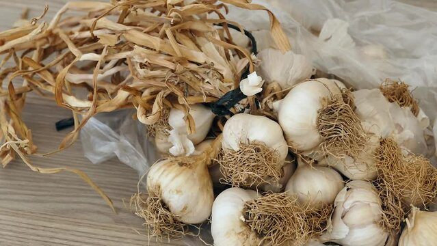 a bunch of dried garlic - lots of dried garlic heads,close-up dried garlic in a bunch,