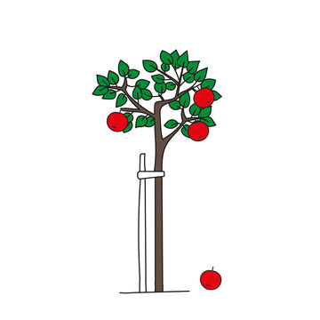 recommend clip art: Colored outline hand drawing vector illustration of a green apple tree with red apples isolated on a white background