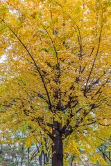 季節を感じる美しい風景