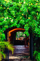 Fototapeta premium ancient arch built of stone in the village