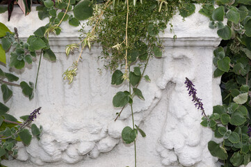 fancy stone planter with ivy and other plants