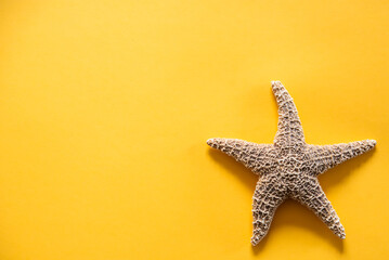 Fototapeta na wymiar Starfish on a yellow background, announcing the arrival of summer, free design with empty space for advertising.