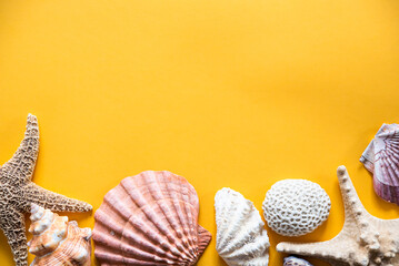Several shells, starfish, coral, on a yellow background, announcing the arrival of summer, free...