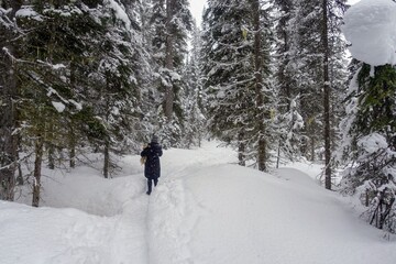 A young woman walking her blonde pomeranian puppy along a snowy trail in the forest, beside Emerald Lake, British Columbia, Canada