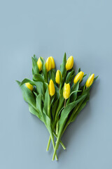 View from above yellow tulips on gray background. Mockup for womens day, 8 March. Flat lay style, top view, template, overhead. Greeting card