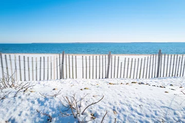 Light filtering roller blinds Atlantic Ocean Road Snow on the beach with sand-fence and bare rosehip trees. 