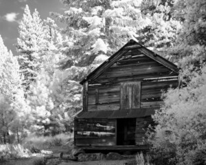 Black and white infrared of historic wooden building in a western forest