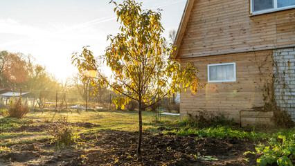 country house on a bright frosty morning