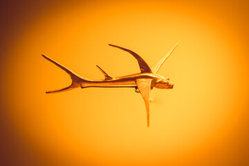 Pre-Columbian gold artifact on display in the Museo del Oro. The Museum of Gold is a museum located in Bogota, Colombia.