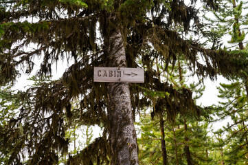 Cabin this way sign in the national forest