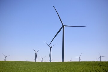A wind farm power station