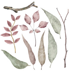 Rustic set with pastel leaves. Botanical illustration isolated on white background for greetings, decorations and posters