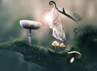 Fantasy landscape with mushrooms in the fog.