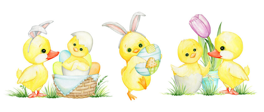 Chicken, duckling, Easter eggs, tulip. Watercolor clipart, in cartoon style, on an isolated background.